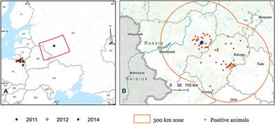 Identification and Characterization of Bluetongue Virus Serotype 14 in Russia